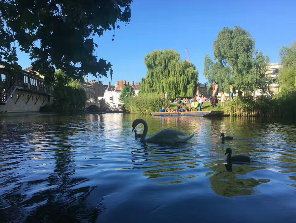 2017英國景觀專業(yè)考察交流Day4：與康橋的約會