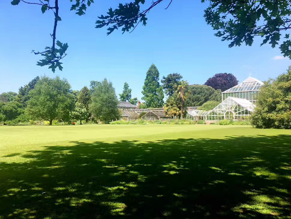 2017英國景觀專業考察交流Day4：與康橋的約會