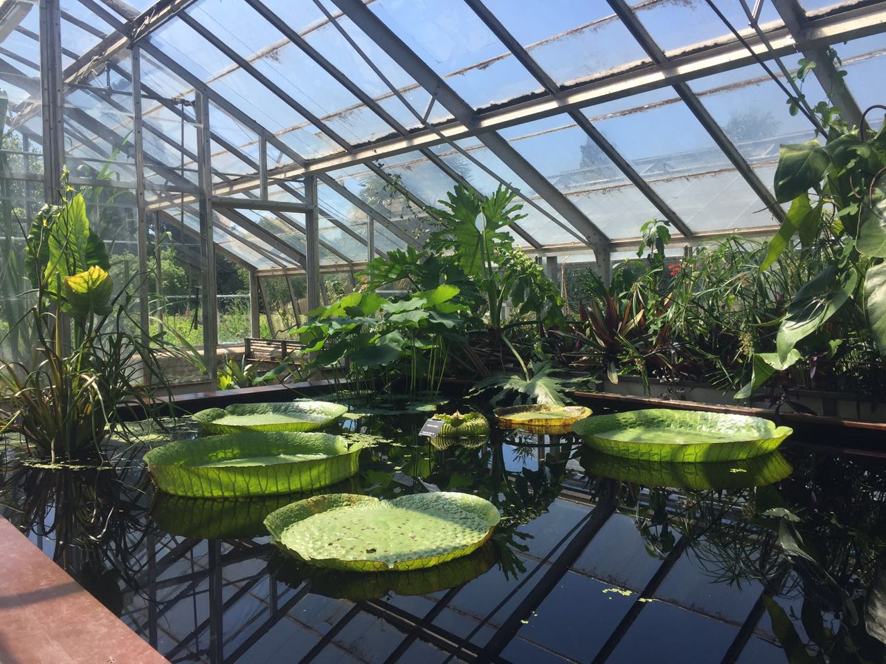 2017英國景觀專業(yè)考察交流Day4:與康橋的約會