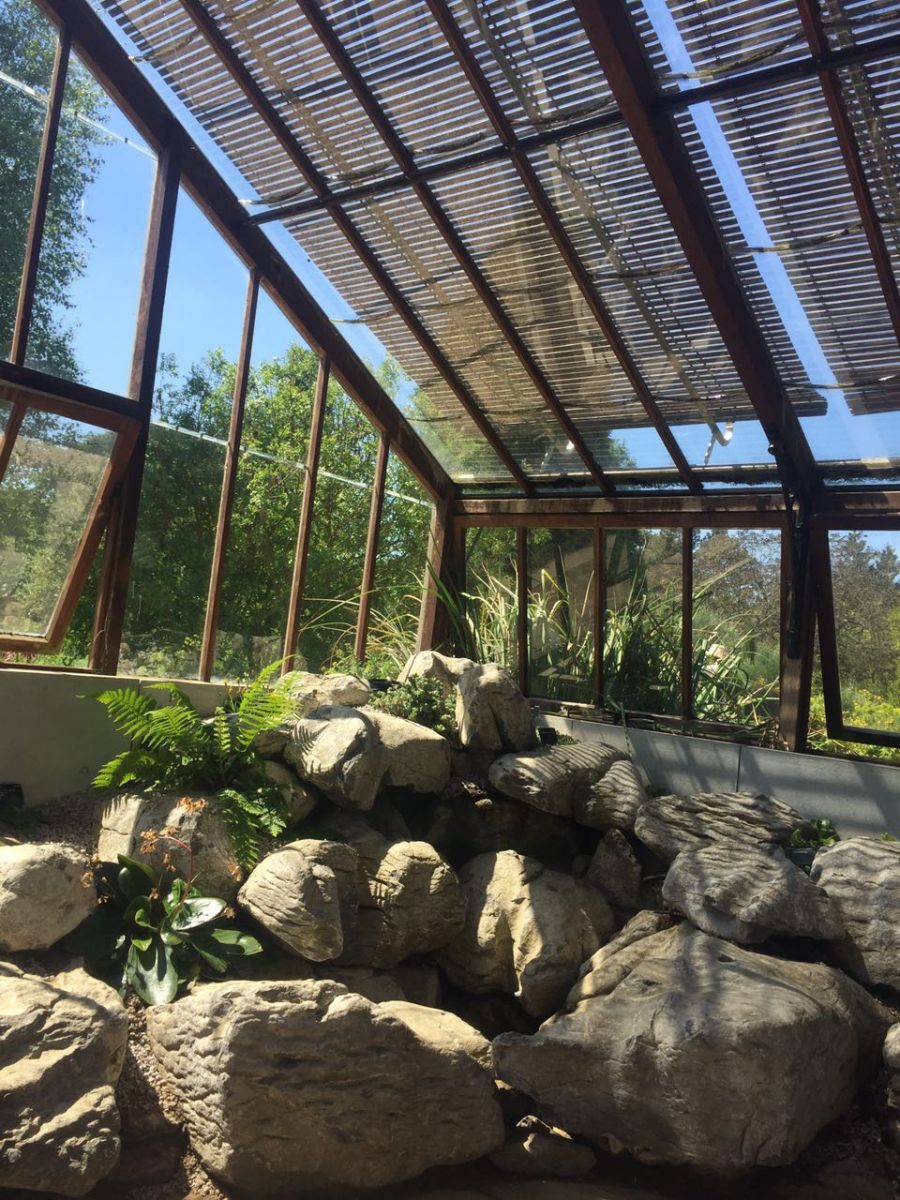 2017英國景觀專業(yè)考察交流Day4:與康橋的約會