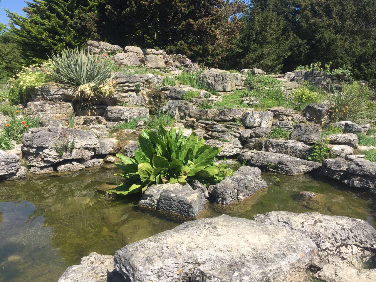 2017英國景觀專業(yè)考察交流Day4:與康橋的約會