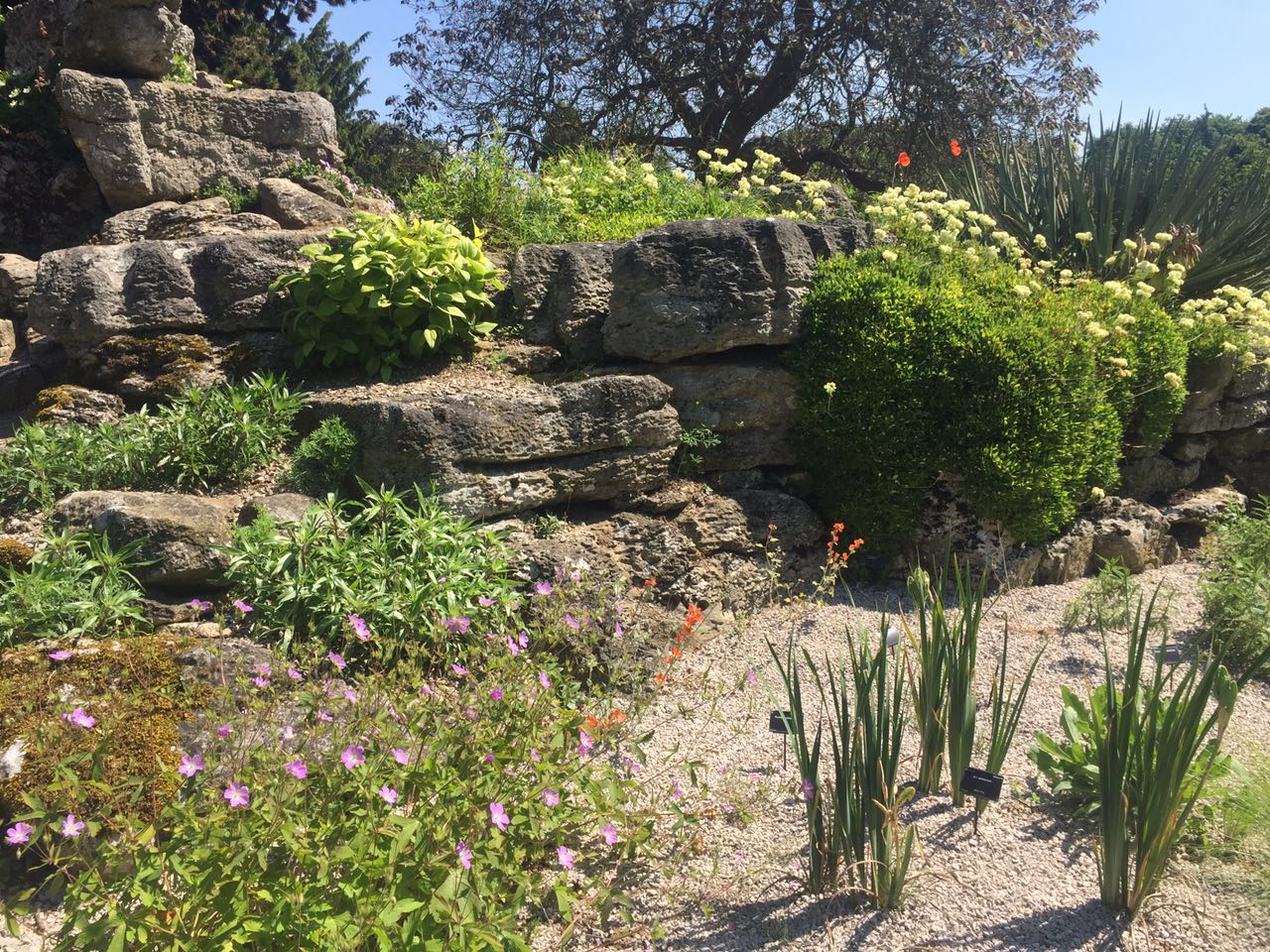 2017英國景觀專業(yè)考察交流Day4:與康橋的約會