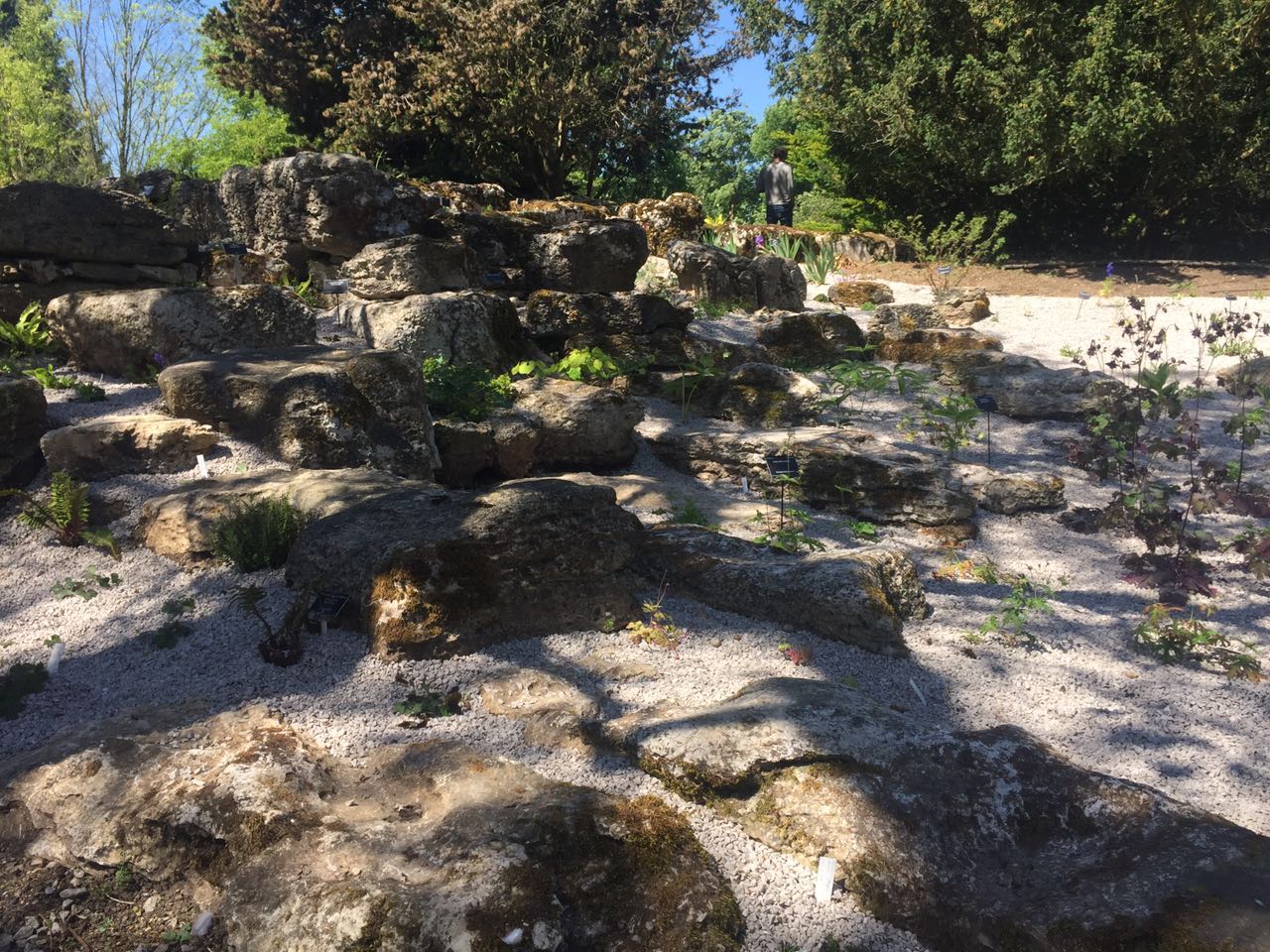 2017英國景觀專業(yè)考察交流Day4:與康橋的約會