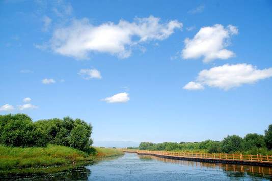 為什么濕地被稱為“地球之腎”