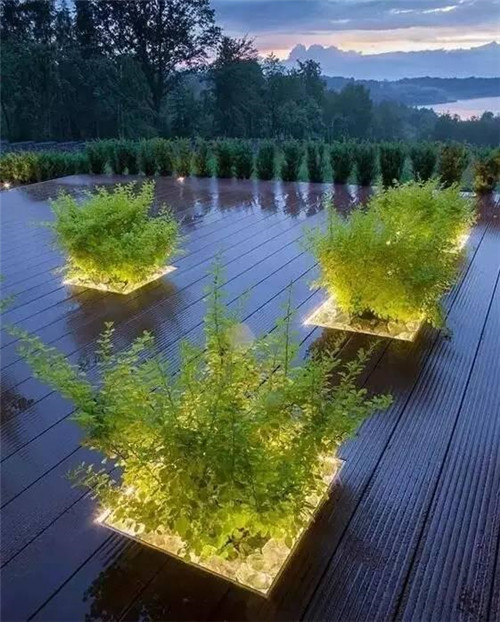 景觀照明中,植物的運用竟如此講究