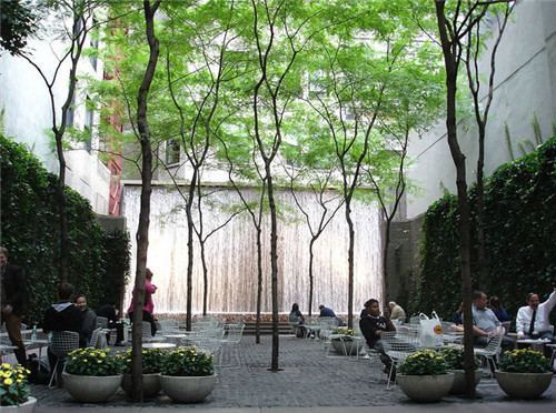 雨水花園：永續利用花園和園林中的水資源