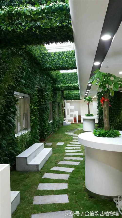 立體綠化植物墻為何這么受歡迎？