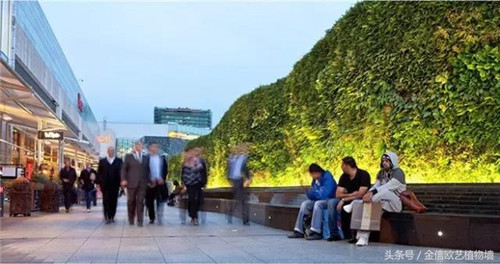立體綠化植物墻為何這么受歡迎？