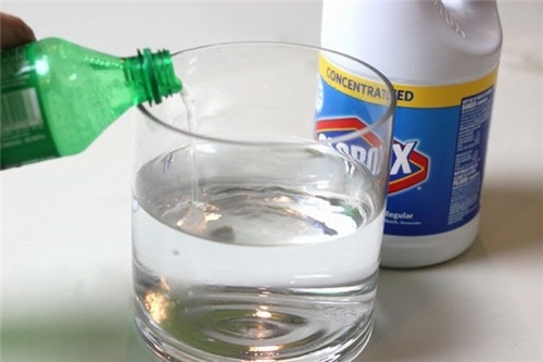 實(shí)用插花技巧 一招輕松裝點(diǎn)辦公桌