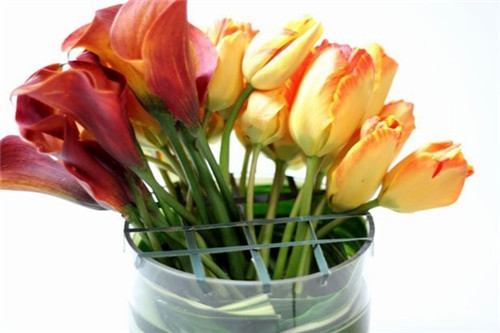 實(shí)用插花技巧 一招輕松裝點(diǎn)辦公桌