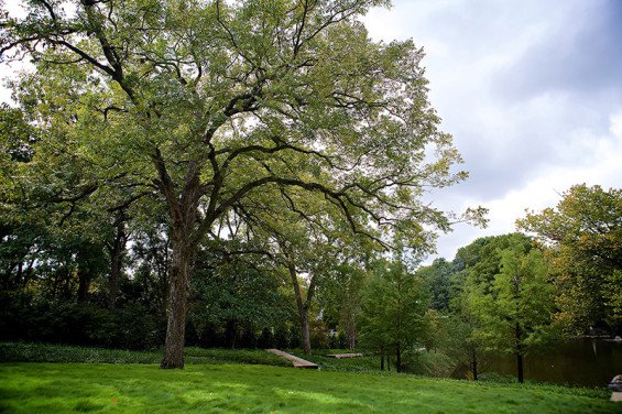 塑造一個有質(zhì)地的私家花園