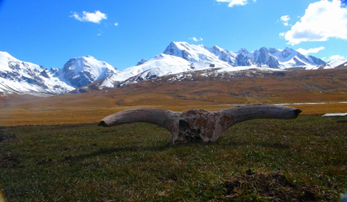 中國(guó)首份國(guó)家公園條例出臺(tái)