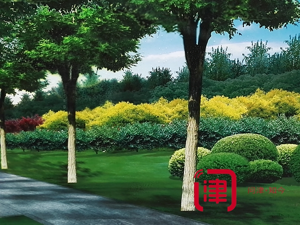 迎全運天津要建這么多公園！各種綠化走起