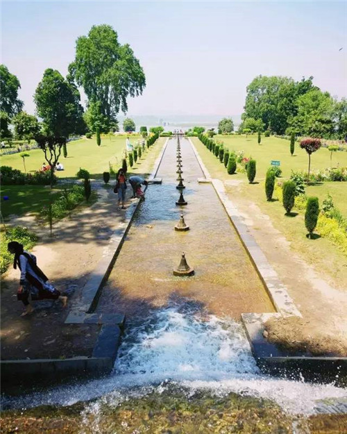 世界上這些驚為天人的植物園你都知道嗎？