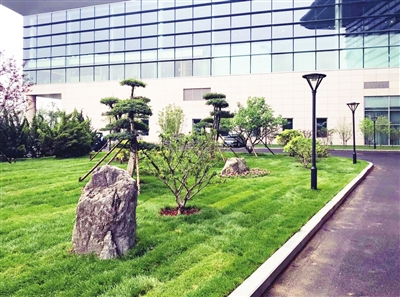 天津?yàn)I海機(jī)場園林綠化提升