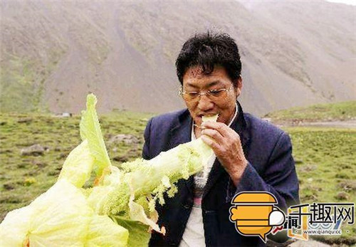 塔黃:植物界長得像大白菜的“九層妖塔”