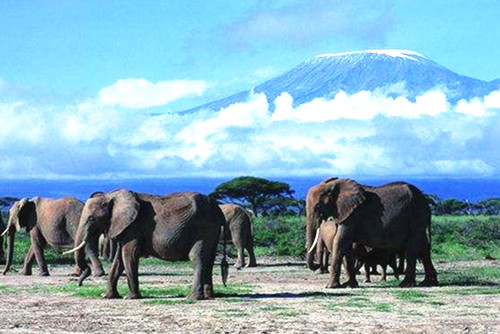 你不知道的國家公園的前世今生（組圖）