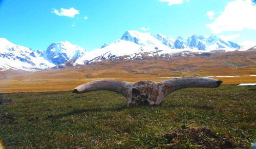 你不知道的國家公園的前世今生（組圖）