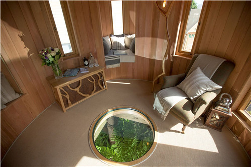 “藍森林”樹屋給你樹梢間生活的神奇體驗