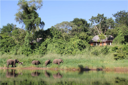 “藍森林”樹屋給你樹梢間生活的神奇體驗
