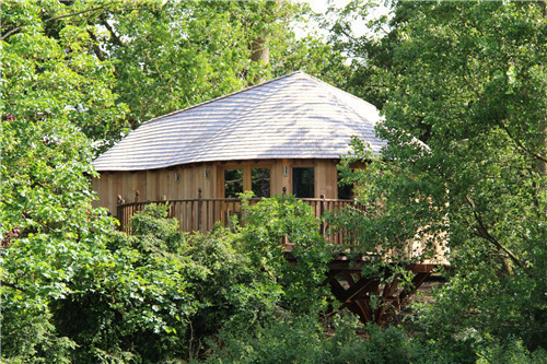 “藍(lán)森林”樹屋給你樹梢間生活的神奇體驗