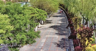 建設(shè)海綿城市 崇尚綠色發(fā)展