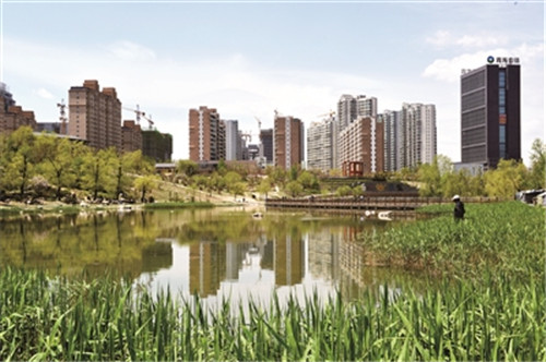 建設(shè)海綿城市 崇尚綠色發(fā)展