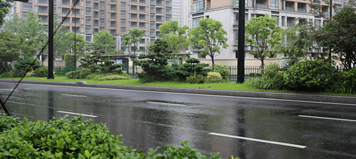 杭州園林：特色蘊于細節，匠心鑄就精品