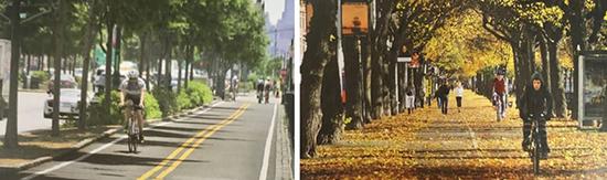 街道設計可以讓生活更健康