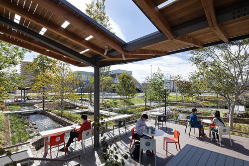 景觀設計的本源：可持續性的共生環境