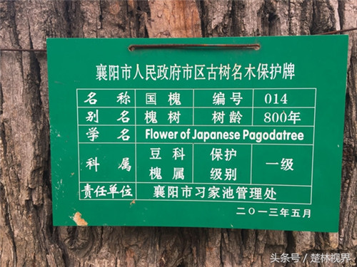 湖北習家池——中國郊野園林第一家