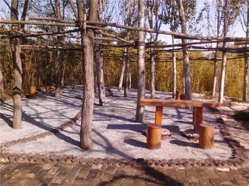 超腦洞的景觀設計：有趣的園林小品