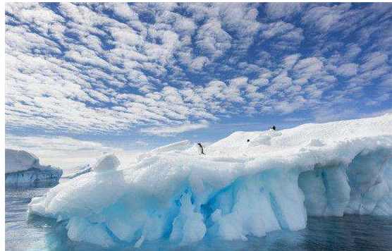 研究發現南極洲曾經被植物覆蓋