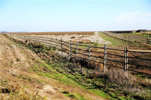 西班牙世外桃源——多南那國家公園