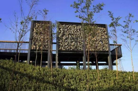 國內雨水花園實踐：黑龍江群力雨水花園