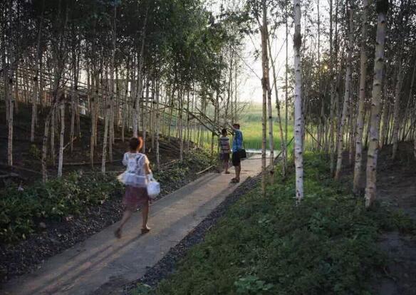 國內雨水花園實踐：黑龍江群力雨水花園