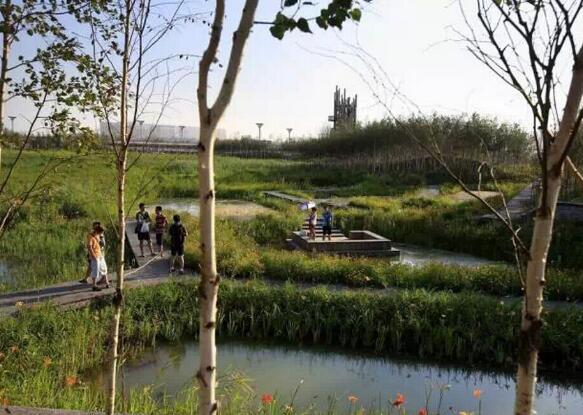 國內雨水花園實踐：黑龍江群力雨水花園