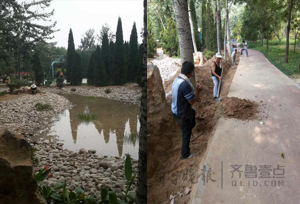新立河公園——山東濱州第一處雨水花園