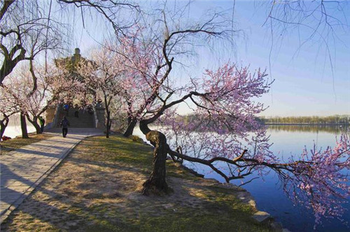 中國古典園林中充滿魅力園林建筑