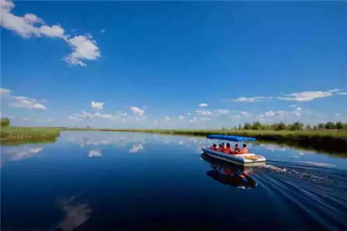 扎龍濕地自然保護區入選黑龍江十大濕地