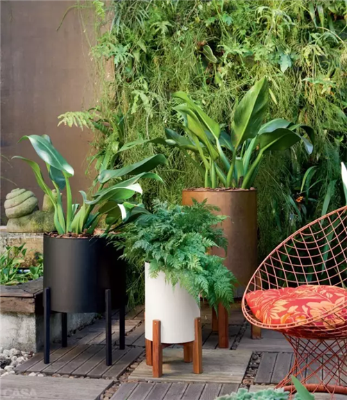 迷人的室內綠墻 將花園搬到室內