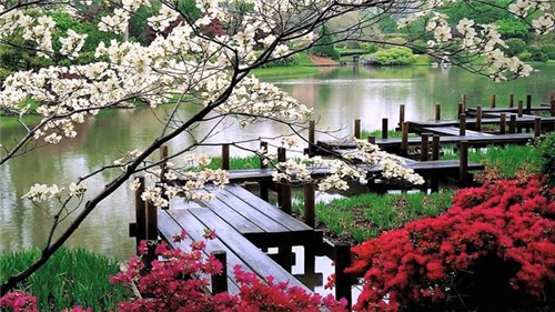 日本園林,小小庭院,源于自然,匠心獨(dú)運(yùn)