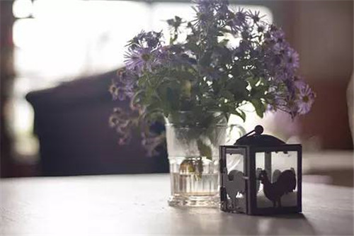 如何讓鮮切花的美延長一倍時間