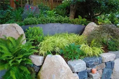 景觀設計:石頭縫里的景觀