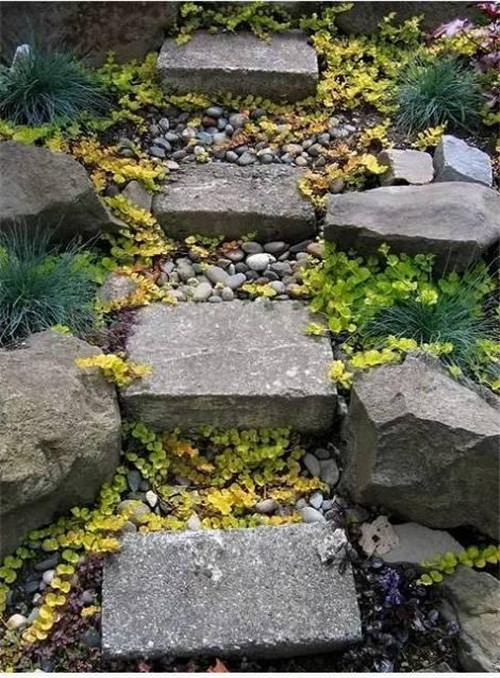 景觀設(shè)計(jì)：石頭縫里的景觀