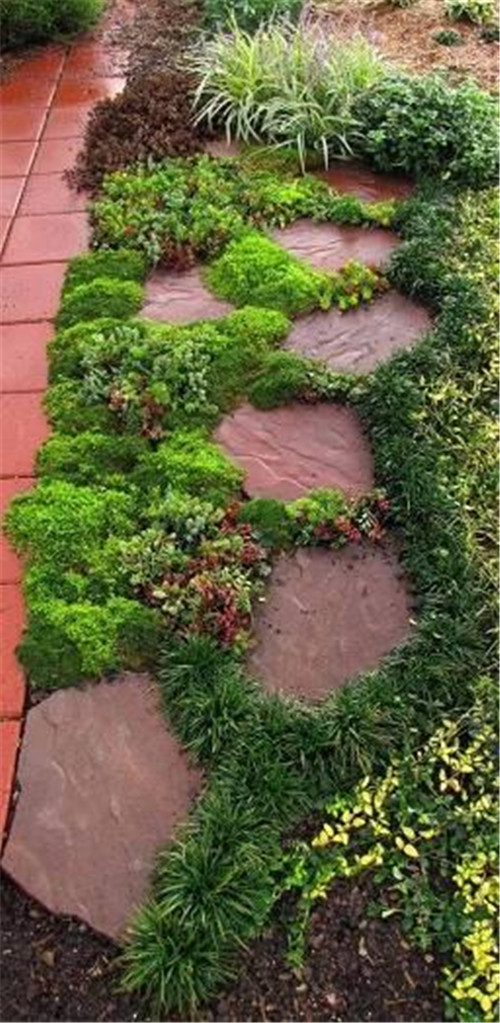 景觀設(shè)計(jì)：石頭縫里的景觀