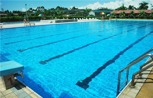 Natural swimming pool 打造夏日生態(tài)泳池