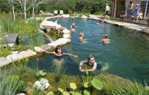 Natural swimming pool 打造夏日生態(tài)泳池