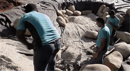 Natural swimming pool 打造夏日生態(tài)泳池