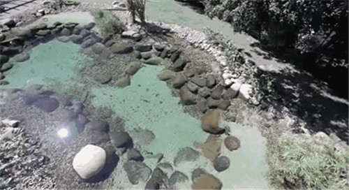 Natural swimming pool 打造夏日生態(tài)泳池